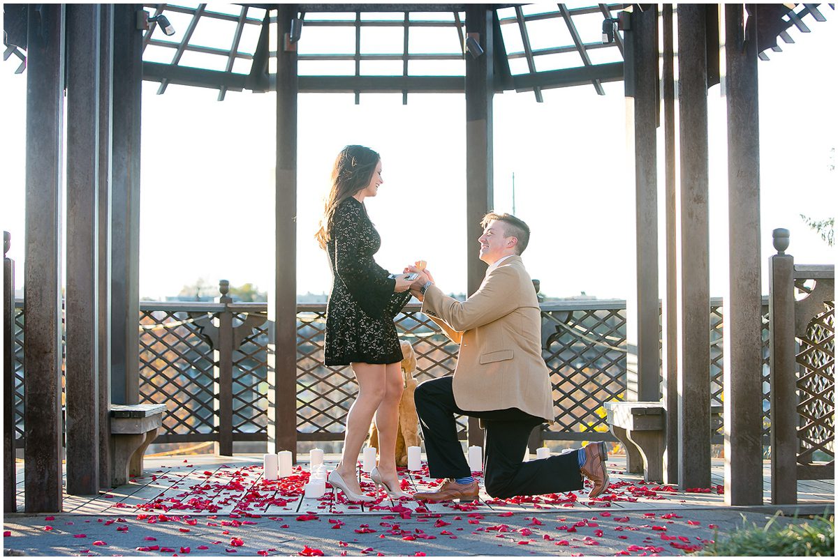 fairmount-park-proposal-engagement-shoot-04